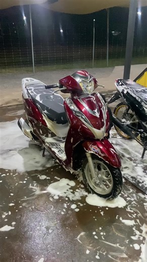 T.Tree บน TikTok