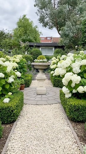 They use to say Hydrangeas were old fashioned! My love for Hydrangeas has definitely come from my mum as she has so many in the summer house we have outside of Athens . Yes I’m in Greece at the moment and I’m off this afternoon to the village to sort out mums allotment and of course her many Hydrangeas . I definitely see where I get my plant addiction from, we were yesterday in the centre of Athens to buy Tomato plants and she bought 20 and many others . It’s not my fault I have a plant addictio