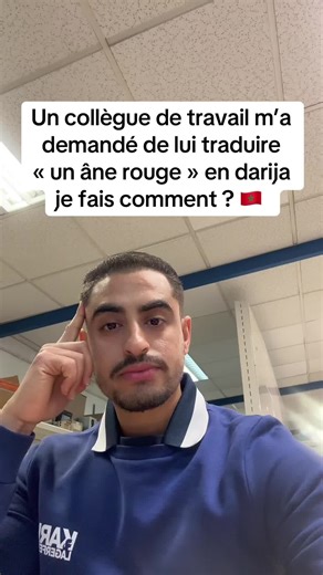 Comment traduire « un âne rouge » en darija ?