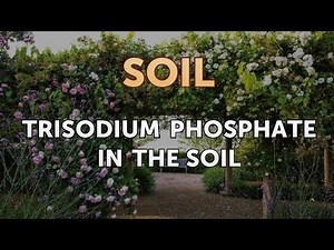 Trisodium Phosphate in the Soil