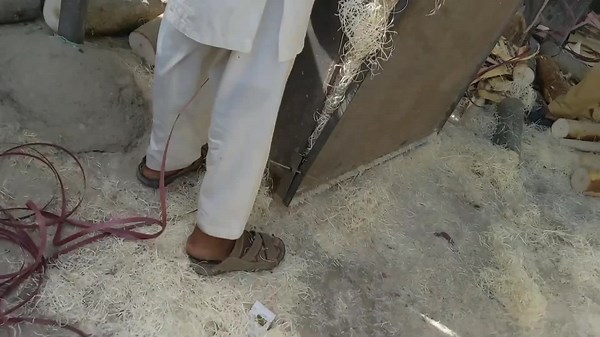 Amazing Process of Making Wood Wool for Coolers