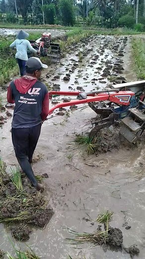 2 traktor garap 1 petak sawah. | Fiki Traktor