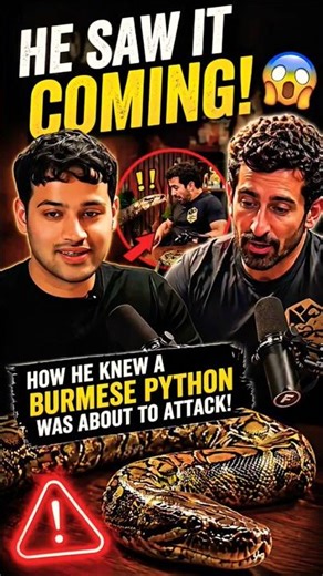 How Paul Rosolie Predicted a Burmese Python Attack 🐍😳 #shorts #rajshamani
