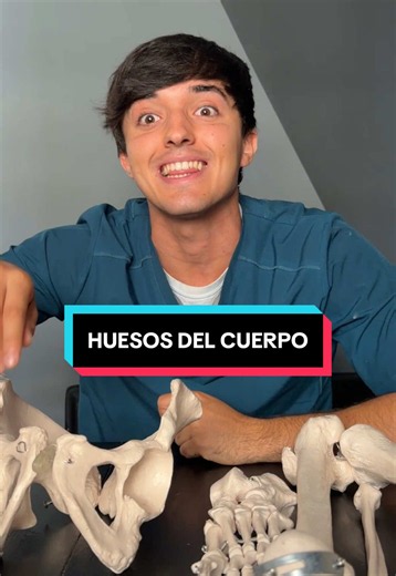 así son todos nuestros huesos #fisioterapia #medicina #huesos #anatomia