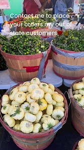 14 reactions · 4 comments | Please contact me 7635015709 to place your orders. | Loya Bahtuoh | Facebook