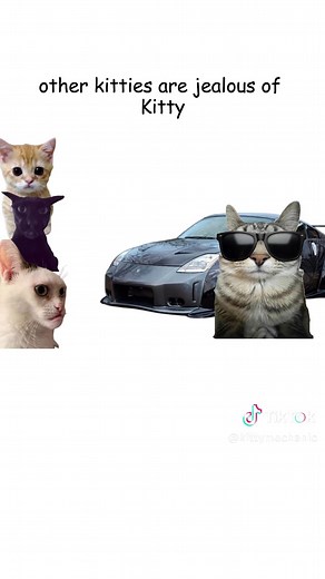 Understanding Drift Techniques Explained by Cats