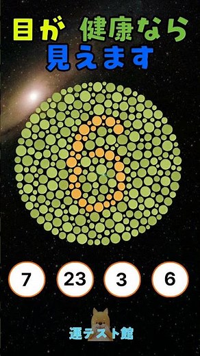 この数字が見えますか？｜石原式 色覚テスト 色盲チェック