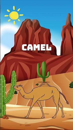 Camel sound for Kids 🐫 | Do you know the camel? 🐪