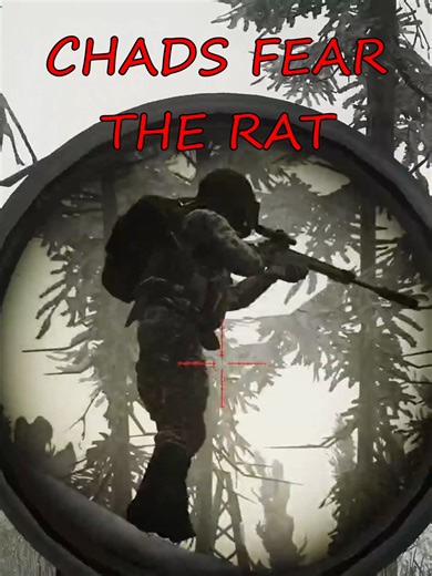 Understanding Chads in Escape from Tarkov