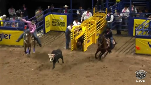 Team roping at full speed done in 3.8 sec