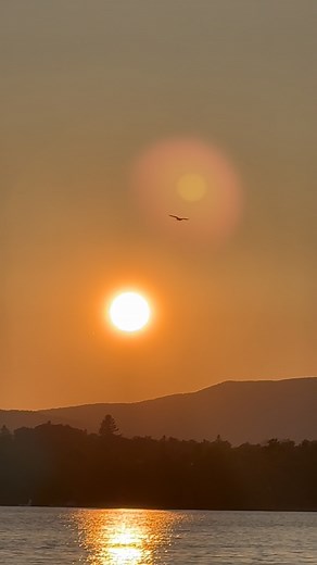 Flying off into the sunset on Rangeley Lake 🌅 🦅 | Rangeley Lakes Heritage Trust