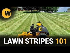 How To Improve Your LAWN STRIPES | WRIGHT