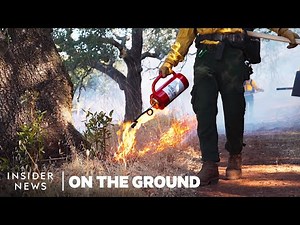 Why These Californians Are Starting Fires On Purpose | On The Ground