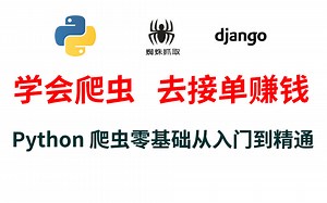 【学会爬虫 接单赚钱】Python 爬虫从零基础入门到实战精通