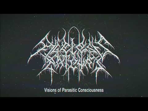 AGELESS GATEWAY - Visions of Parasitic Consciousness (Lyric Video)