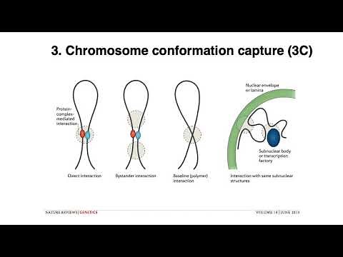 MCB 182 Lecture 3.4 - Genome assembly - Scaffolding contigs