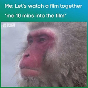 28M views · 6.3K reactions | Every. Single. Time. | BBC One | Facebook