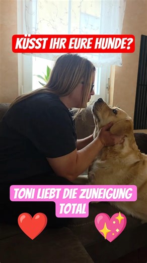 😘 Küsst ihr eure Hunde? 🤩 Da teilen sich die Meinungen. Toni mag diese Nähe. #labrador