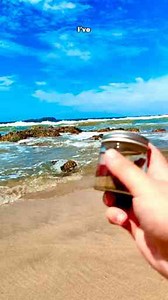 Exploring the Microscopic Wonders of Ocean Water: Filaments, Fibers, and Algae