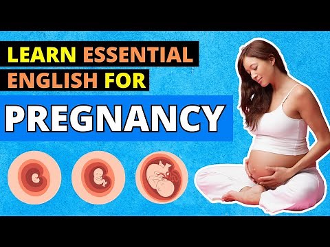 Pregnancy Vocabulary Essentials - Learn Key Terms & Pronunciation | LearningEnglishPRO