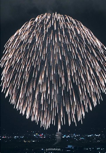 Happy New Year! 2026🕊️🥳✨ 🎍皆さん、良いお年をお迎えください🎍 #fireworks #불꽃축제 #花火 #花火大会 #2026