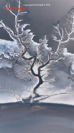 1.1K views · 76 reactions | The tidal trees on the Qiantang River in E China's Zhejiang froze as the cold wave continued to sweep through the region. | People's Daily, China | Facebook