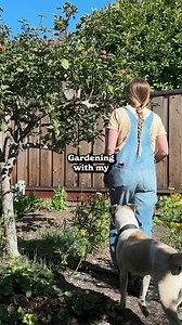 31 reactions | Don’t miss out on the chance to make this season one to remember—start cultivating a garden that will bring you and your family joy for years to come  Epic Gardening is here to make it happen, one harvest at a time. 勒 ️ | Epic Gardening | Facebook