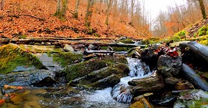 Video by I Am Sorin on Pexels