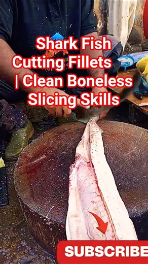 Shark Fish Cutting Fillets 🦈 #SharkFish #FishCutting #SeafoodShorts #FishFillet #ViralShorts