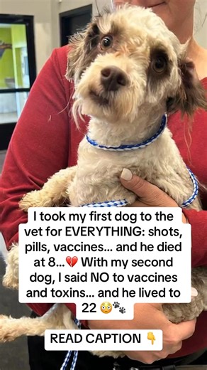 My first dog went to every single vet visit. Every vaccine. Every “preventative.” Every pill they recommended. And he still only made it to 8 years old. 💔 That broke me. So with my second dog, I said NO — no more unnecessary shots, no more toxins, no more chemicals. I wanted to do things differently. 🌿 When he started slowing down — stiff joints, itchy skin, low energy — I didn’t run back to the vet. Instead, I called a holistic healer in NYC who’s been helping dogs naturally for decades. I to