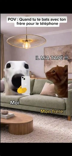 Animation chats 😂 #pourtoi #cat #chat #drole #animation #animationchats #shorts