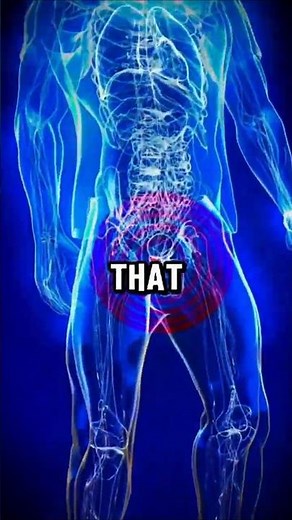 7 Foods That Naturally Boost Testosterone Levels #facts #easynutrition #food #testosterone