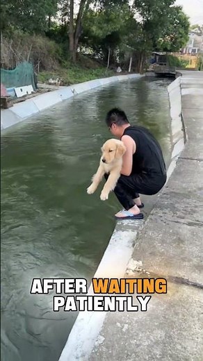 Dog Learns to Swim for the First Time 🐶❤️