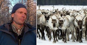 Gapná čearru: ”Ruvkefitnodaga plánat eai ollašuvvo go dat leat eahpegovttolaččat”