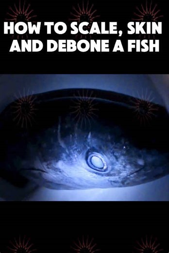 How to Scale, Skin & Debone a Fish | Fishing Tips