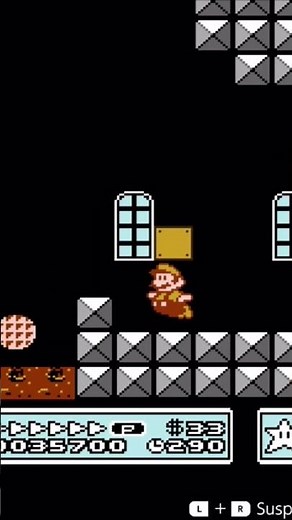 You Can Do THIS in Mario 3?! 😳🔥 (Speedrunner Trick)