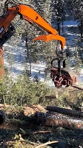 2.5K views · 30 reactions | Doosan 300LL Shovel with Waratah 623 processor. #logging #forestry #renewableresource #forestproducts | Peake Warren | Facebook