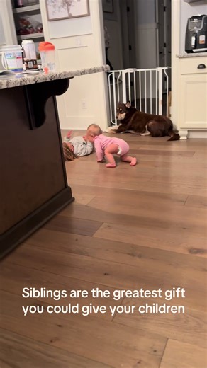 I’ve said it a million times, the 15 month age gap is amazing. He loves her, she loves him. She has learned SO much and so quickly from him. Their bond is unmatched and I’m so thankful they are so sweet to each other 🤍 #siblings #siblinglove #bigbrother #littlesister #15monthagegap