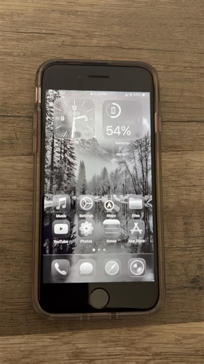 2020 iPhone SE (2nd Gen) Boot