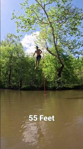 Tree Jump 55 Feet