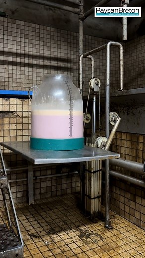 En observant un élévateur autrefois utilisé pour transporter les sacs de grain de la batteuse au silo, Louis-Marie Ronsin a l’idée de transposer la solution à sa salle de traite. Aujourd’hui, le bidon de lait se soulève sans effort de la fosse au quai de traite. | Journal Paysan Breton