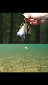 10K views · 792 reactions | Here is an underwater look at two Hybrid Vibe 'Flash' patterns we have in stock: Muddy Shad (first) & Gold Scale (second). #NCB | #VibratingJig | #BassFishing | Nate's Custom Baits - NCB Lures LLC | Facebook