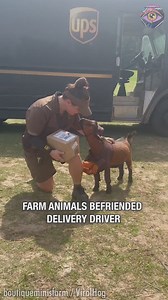 116K views · 1.3K reactions | Your vibe attracts your tribe✨ | HomeChic | Facebook