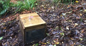 Get the most out of your DOC 200 trap