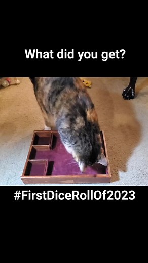 5.6K views · 143 reactions | Cat Cosplay on Reels | Facebook