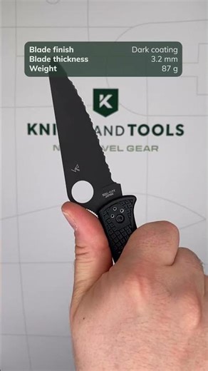 Spyderco Pacific Salt 2 Black C91SBBK2 serrated pocket knife