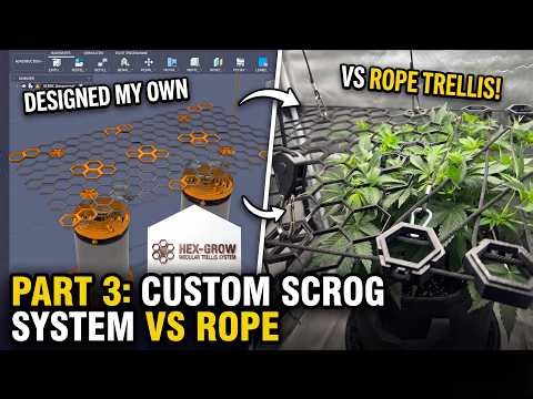 I designed my own SCROG system – and it's modular! #3 | HEX-GROW