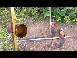 Genius Rat Trap Made from Used Cans | Traditional Hunting DIY