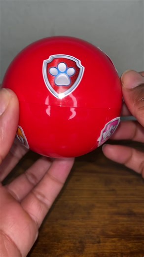 Discover New Paw Patrol Dogs in Brigitta's Toy World