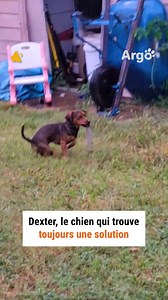 Sa ténacité force le respect 👏🏻 | Argo France